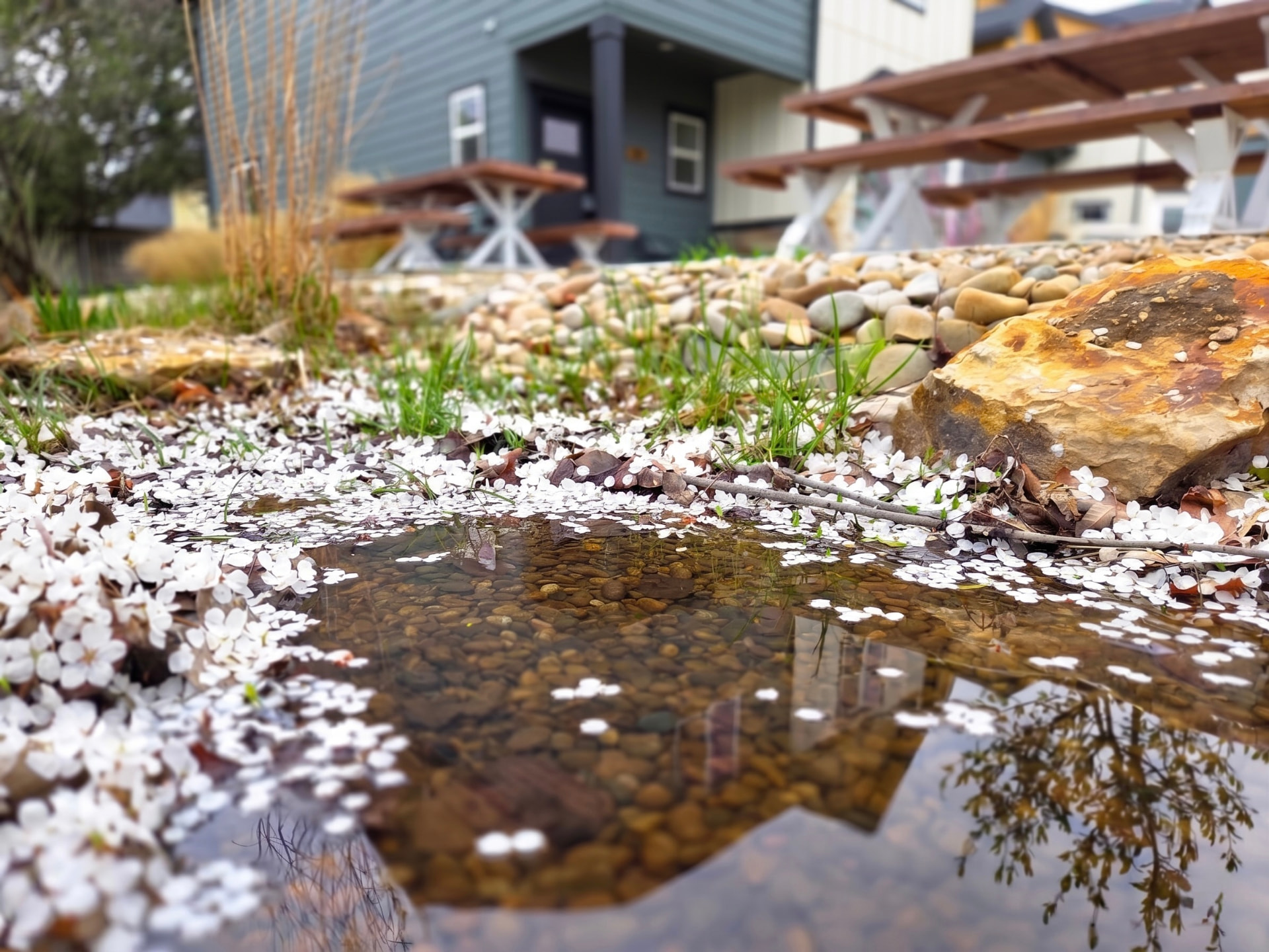Creek beside a Rising Sun Boise home with river rock, spring blossoms, and picnic tables in the background